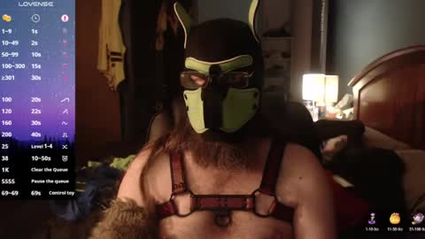kinkywolf87 online show from 14, 6, 2026