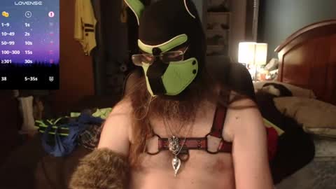 kinkywolf87 online show from 14, 6, 2026