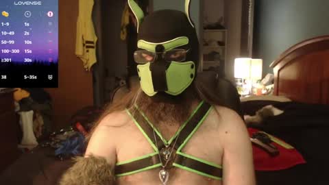 kinkywolf87 online show from 15, 6, 2026