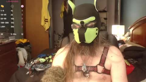 kinkywolf87 online show from 22, 6, 2026