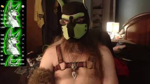 kinkywolf87 online show from 25, 6, 2026