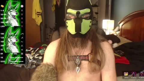 kinkywolf87 online show from 29, 6, 2026