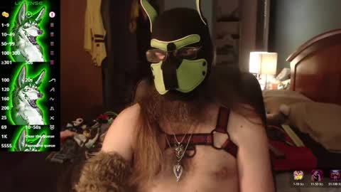 kinkywolf87 online show from 2, 7, 2026