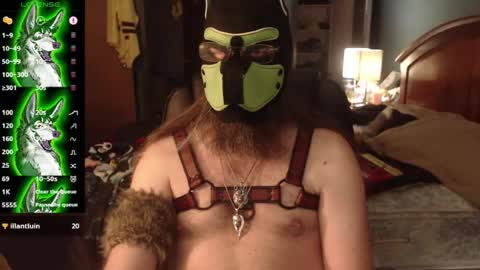kinkywolf87 online show from 3, 7, 2026