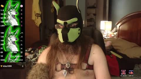 kinkywolf87 online show from 3, 7, 2026
