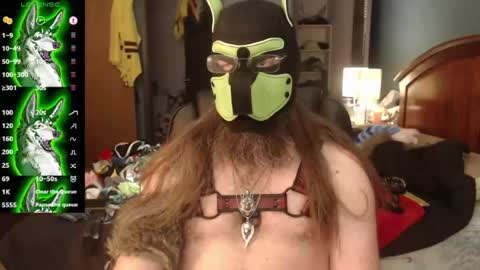 kinkywolf87 online show from 5, 7, 2026