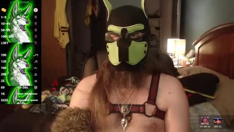 kinkywolf87 online show from 6, 7, 2026