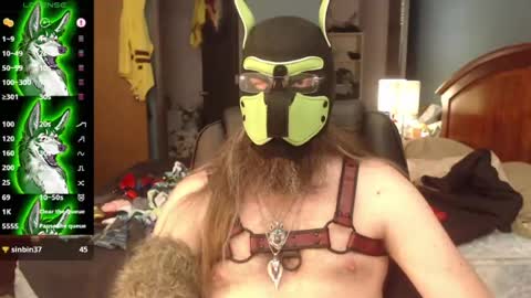 kinkywolf87 online show from 8, 7, 2026