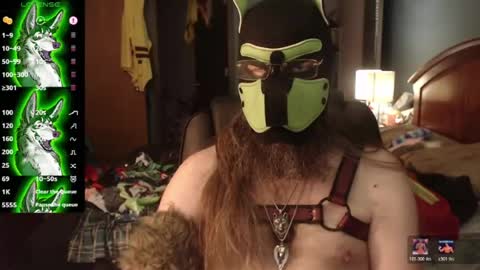 kinkywolf87 online show from 10, 7, 2026