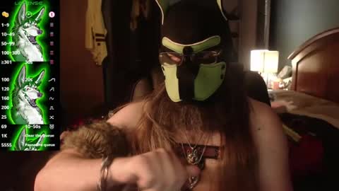 kinkywolf87 online show from 12, 7, 2026