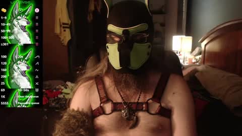 kinkywolf87 online show from 18, 7, 2026