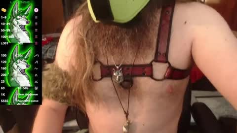 kinkywolf87 online show from 19, 7, 2026