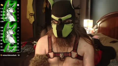 kinkywolf87 online show from 20, 7, 2026