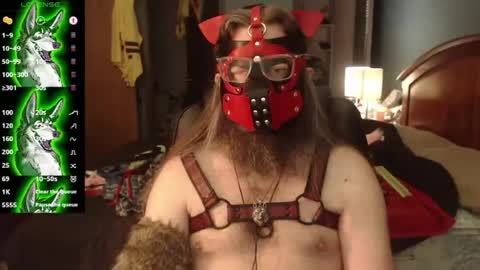 kinkywolf87 online show from 22, 7, 2026