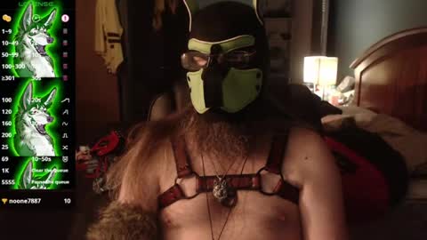 kinkywolf87 online show from 24, 7, 2026