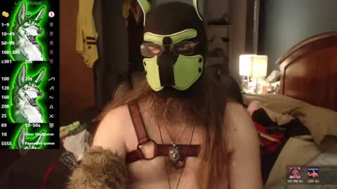 kinkywolf87 online show from 27, 7, 2026