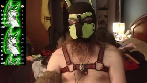 kinkywolf87 online show from 30, 7, 2026