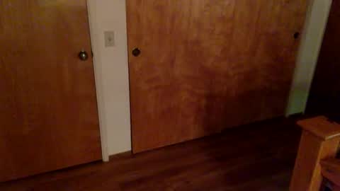 kipblazin online show from 24, 7, 2026