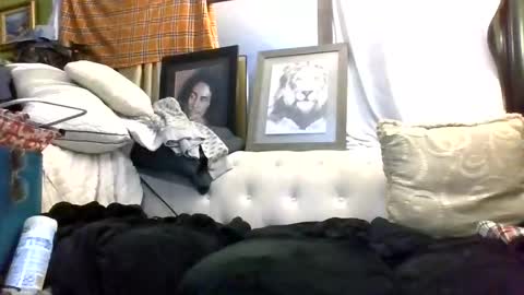 Snapshot of kishan2525 chatting on 7, 3, 2026 Kishan2525 online show from 7, 3, 2026