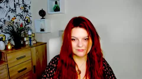 Kitten online show from 8, 5, 2026