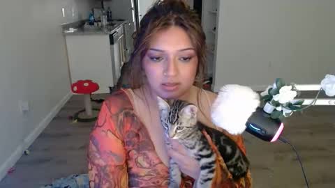 kittengonewild online show from 24, 5, 2026