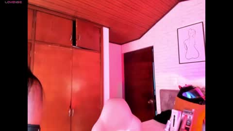 Snapshot of kitty_pam chatting on 24, 7, 2026 Kitty online show from 24, 7, 2026