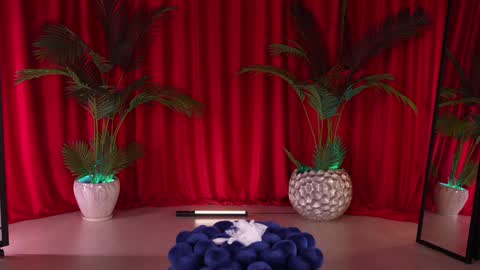 Snapshot of kittycaitlin chatting on 20, 9, 2025 Katya online show from 20, 9, 2025