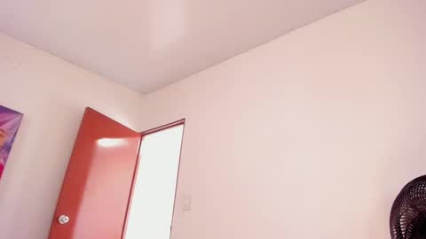 Sari bell online show from 19, 12, 2024