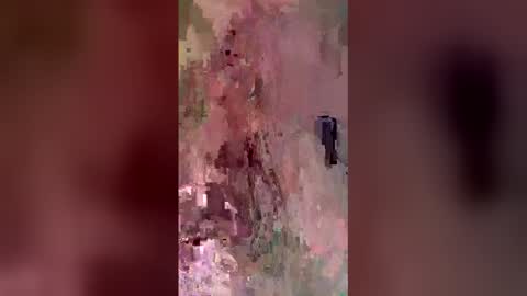 kittykat 1999 online show from 27, 4, 2026