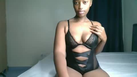 Kittypettite online show from 21, 4, 2026