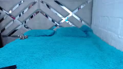 Snapshot of kittyzevee_ chatting on 8, 2, 2025 kittyzevee_ online show from 8, 2, 2025