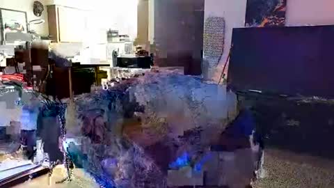 Knox Wilder online show from 30, 11, 2025