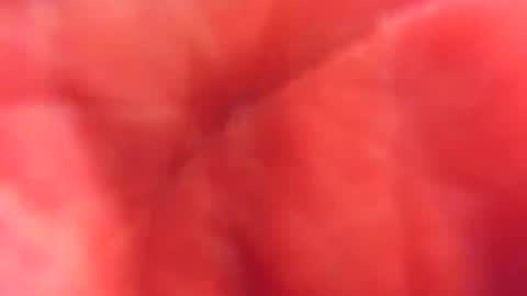 kobayaske online show from 15, 2, 2025