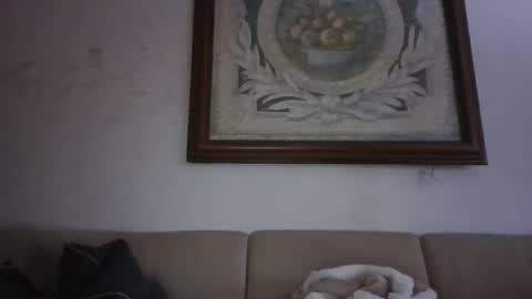 kobolt67 online show from 24, 2, 2026