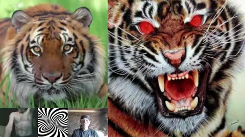 kodiakpm1 online show from 1, 2, 2025