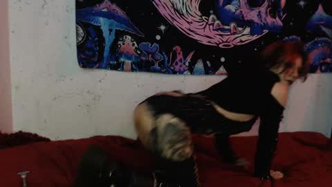 Snapshot of konekokawai chatting on 8, 2, 2025 konekokawai online show from 8, 2, 2025