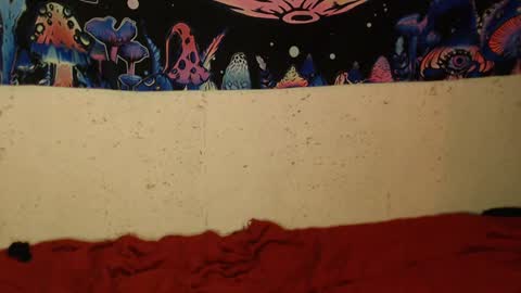 Snapshot of konekokawai chatting on 12, 2, 2025 konekokawai online show from 12, 2, 2025