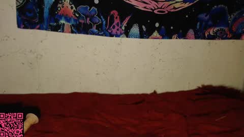 Snapshot of konekokawai chatting on 13, 2, 2025 konekokawai online show from 13, 2, 2025