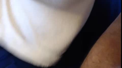 Konrad online show from 6, 3, 2025