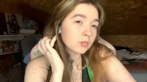 Nova online show from 28, 6, 2026