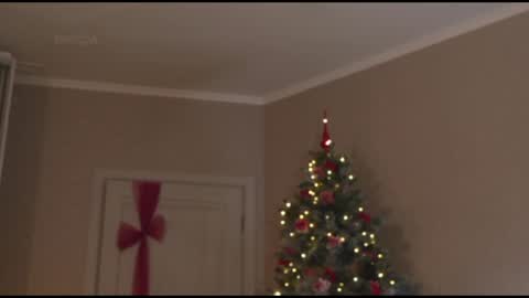 Snapshot of kottyaa_ch chatting on 30, 1, 2025 Kottyaa cb FOLLOWING online show from 30, 1, 2025