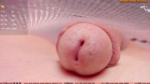 Petra online show from 7, 12, 2024