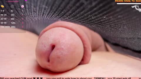 Petra online show from 7, 1, 2025