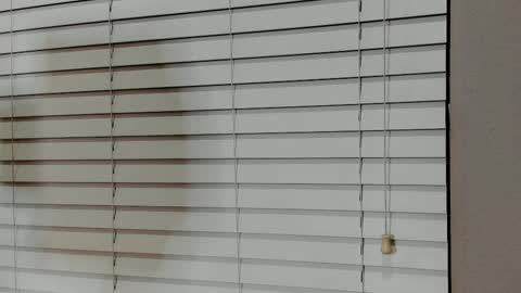 Kylie online show from 14, 1, 2026