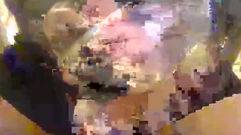 Snapshot of l0ngjohnsilv3er chatting on 16, 10, 2025 l0ngjohnsilv3er online show from 16, 10, 2025