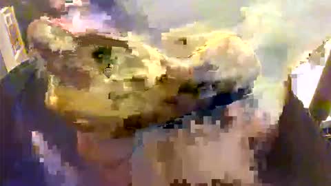 Snapshot of l0ngjohnsilv3er chatting on 26, 11, 2025 l0ngjohnsilv3er online show from 26, 11, 2025