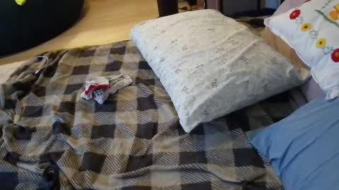 lacey_rose6 online show from 1, 7, 2026