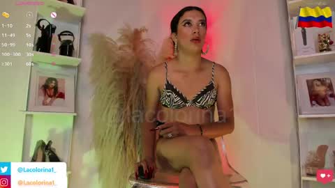 Colorina online show from 10, 6, 2026