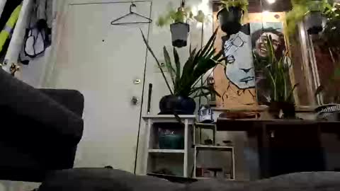 lacybell online show from 19, 2, 2025