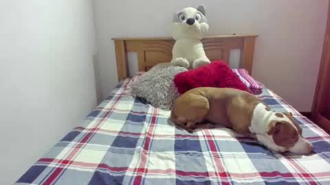 Akyra  online show from 21, 10, 2025